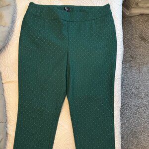 NWOT KIM ROGERS 18W GREEN Women's Pull On Tummy Control Pants